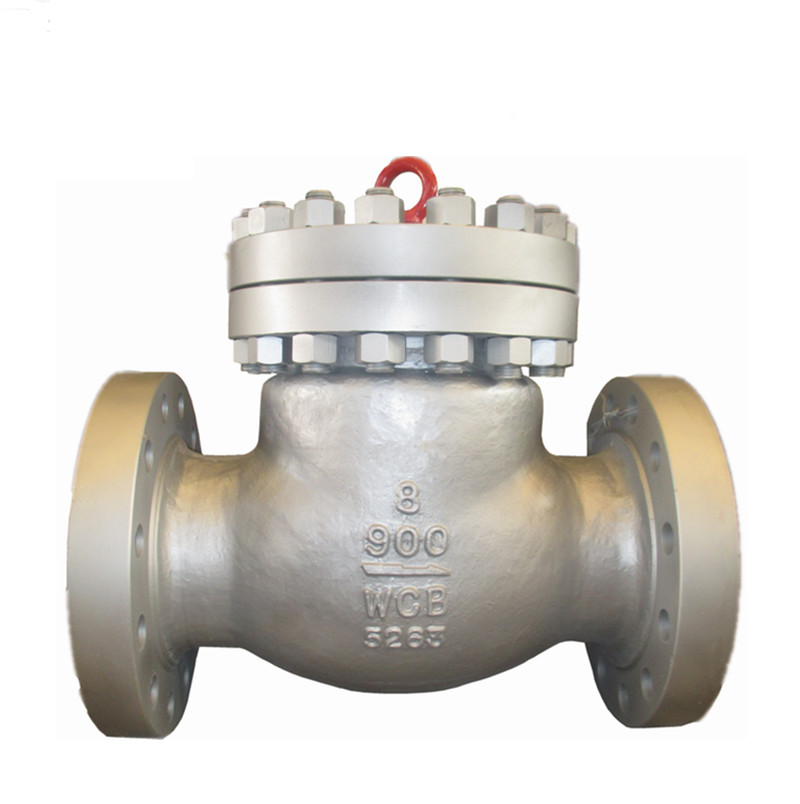 900LB Bolt Bonnet Swing Check Valve