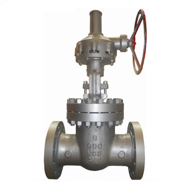 900LB Cast Steel Gate Valve