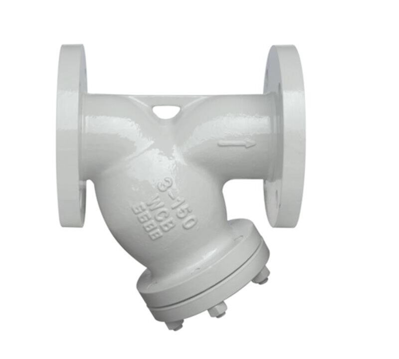 ASME 16.34 Strainer Engineering and Selection Guide