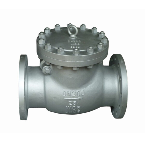 DIN DN200 PN25 Cast Steel Swing Check Valve