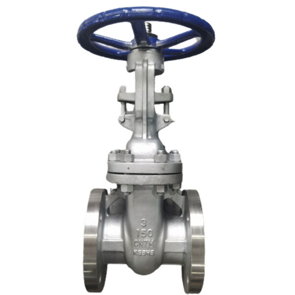 CN7M Gate Valve, 3 Inch, API 600, 150 LB, RF