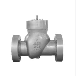 Pressure Seal Bonnet Swing Check Valve, A216 WCB, 6 IN CL1500