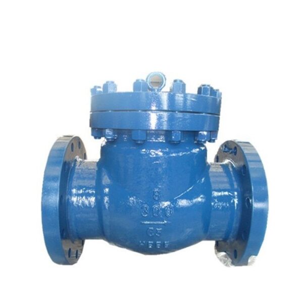 Swing Check Valve,ASTM A217 Gr. C5,8 Inch,300 LB