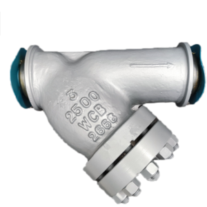 2500 Y Strainer