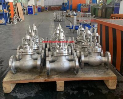 300LB Stainless Steel Globe Valve