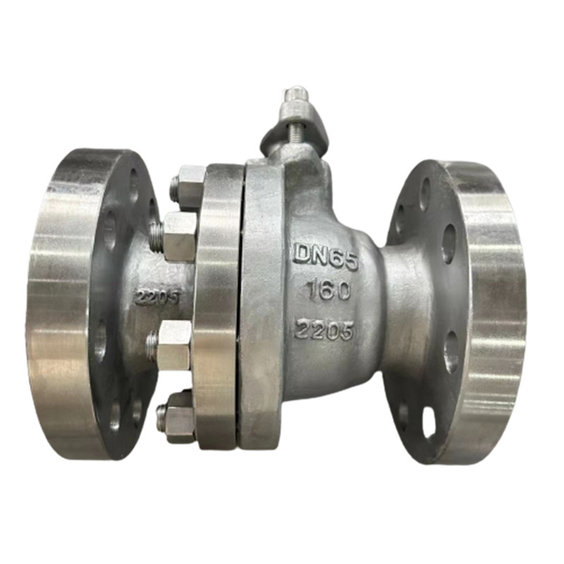 DIN 3357 Ball Valve,2205 Body,PN160,DN65,Flange End