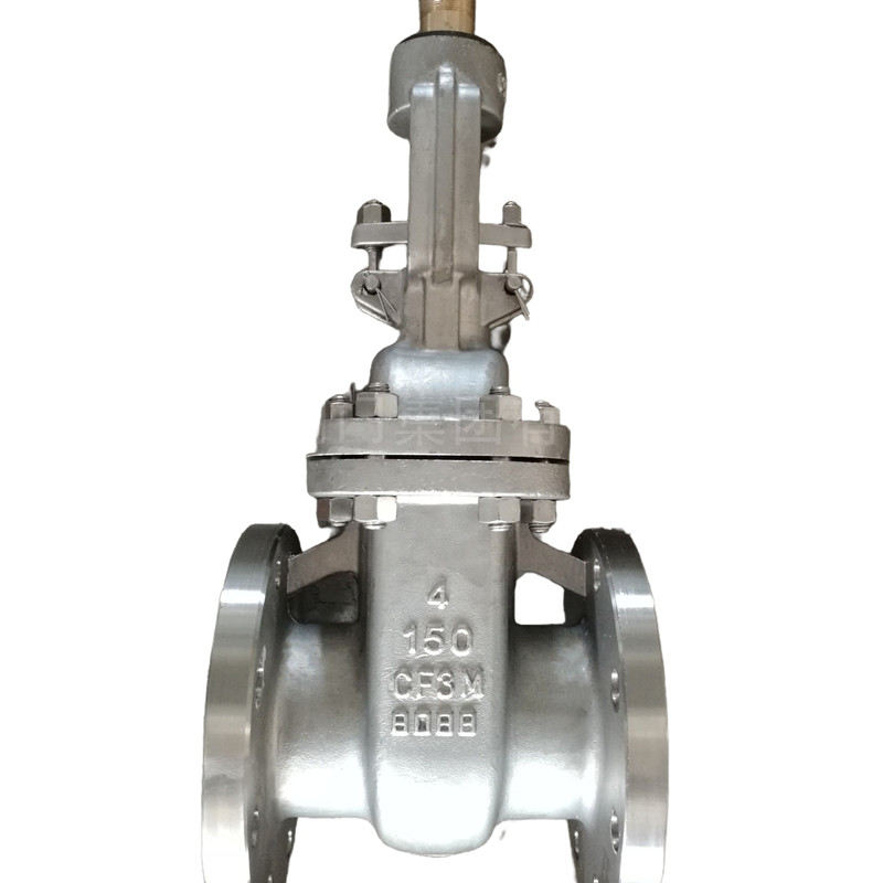 CF3M Gate Valve Manufacture