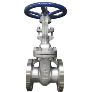 CN7M Gate Valve Manufacture