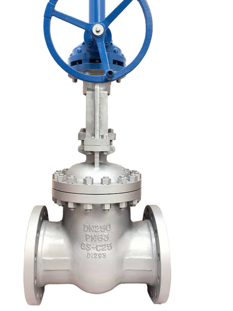 DN250 Wedge Gate Valve, PN63,GS-C25, DIN 3352, EN 1984