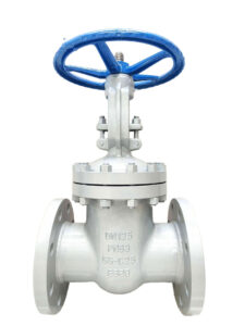 wedge gate valve