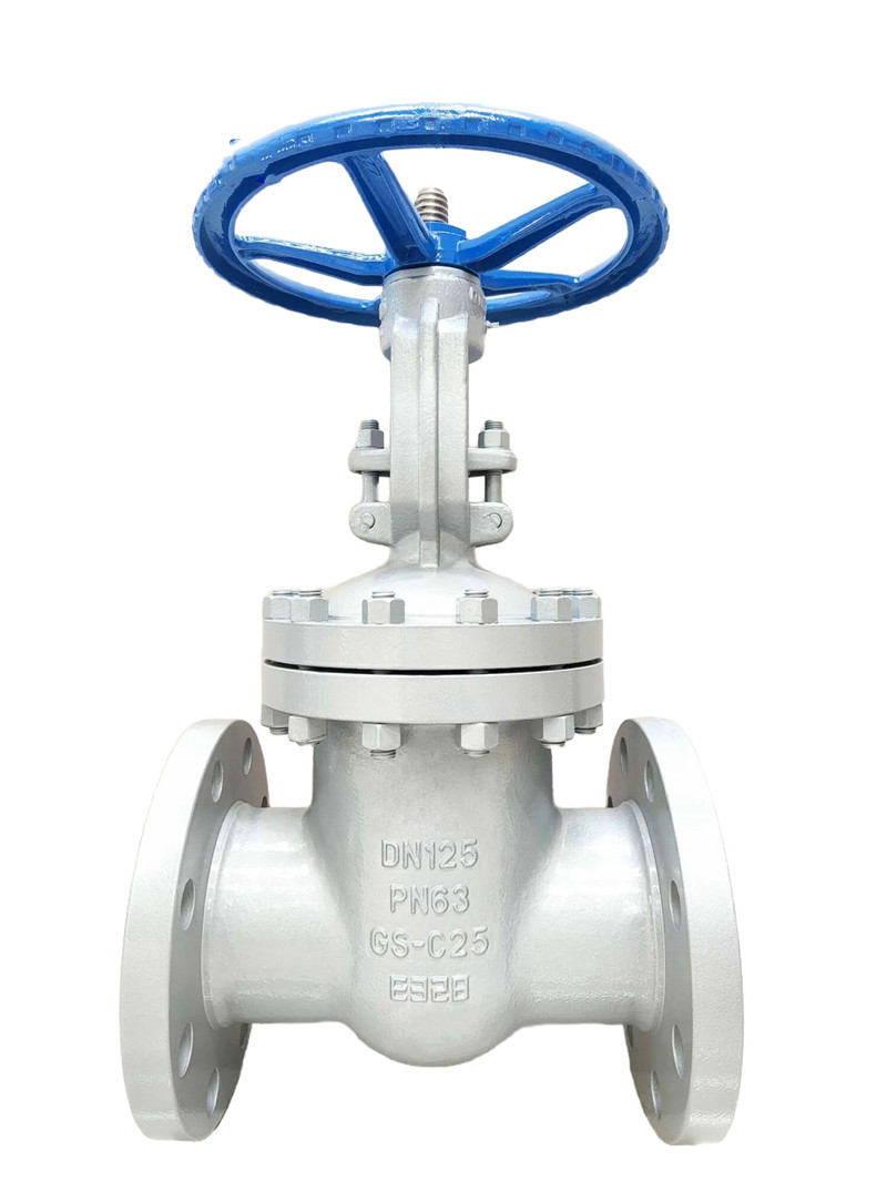 DN125 PN63 Gate Valve, GS-C25, DIN 3352, EN 1984