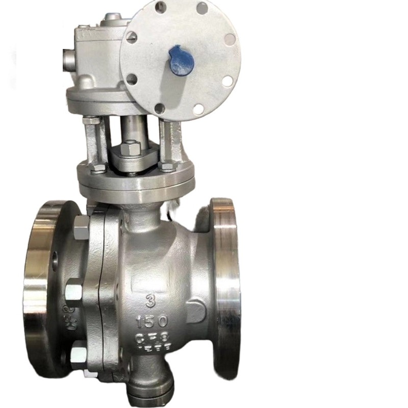 Perfluoroether O-ring Ball Valve,300LB,3 Inch,CF8,RF End