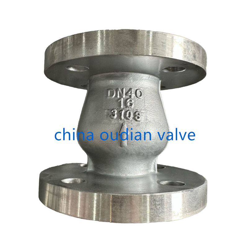 Axial Flow Check Valves,310S,DN40,PN16,Flange End