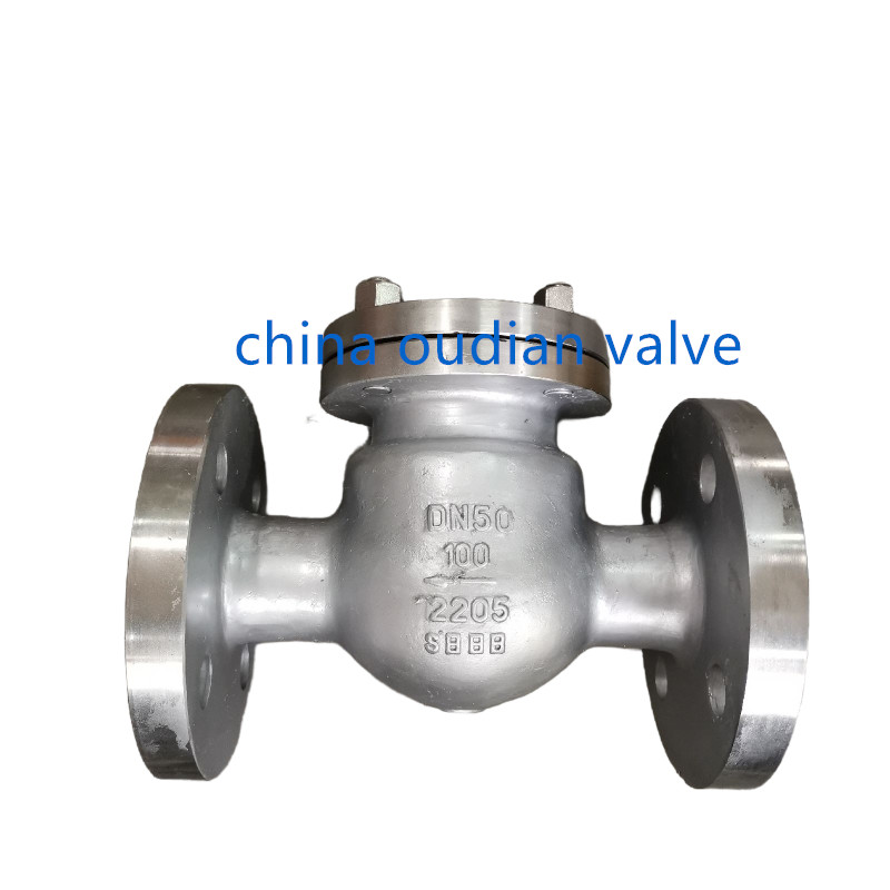 PN100 2205 Check Valve,DN50,RF End