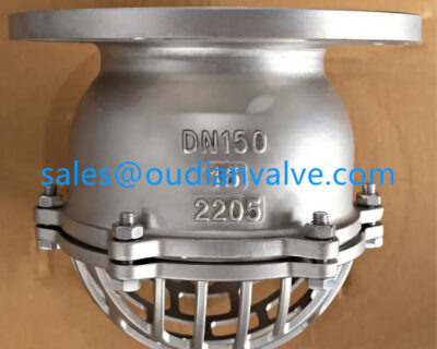 2205 Foot Valve PN16 DN150 Flange End: A Durable Solution for Industrial Pump Systems