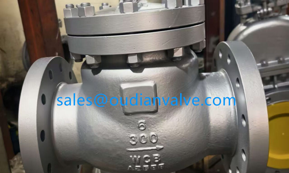 Double Check Valve Operation and Principles