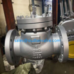 Double Check Valve Operation and Principles