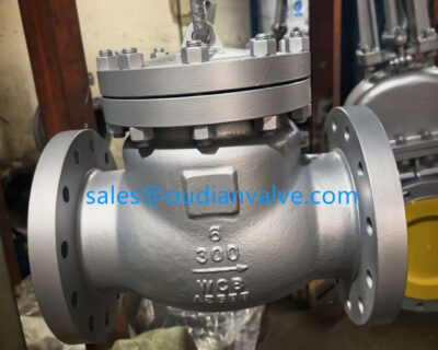 Double Check Valve Operation and Principles