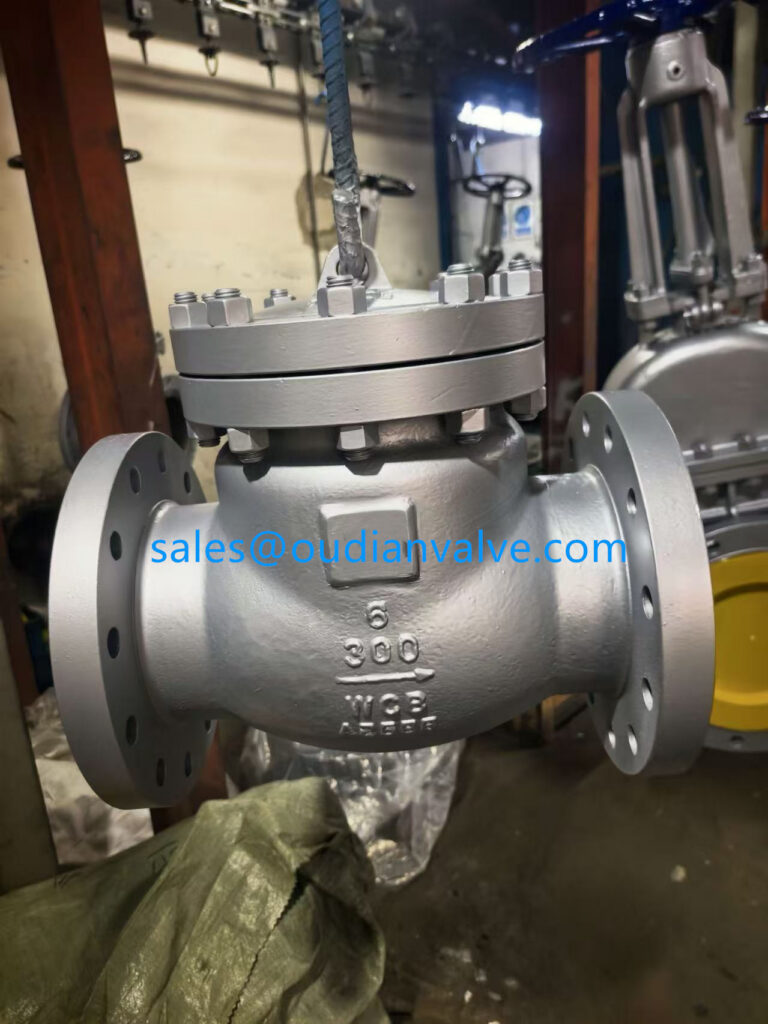 China Double Flange Check Valve 