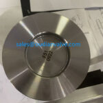 Swing Type Check Valve vs Spring Loaded Check Valve: Technical Engineering Guide