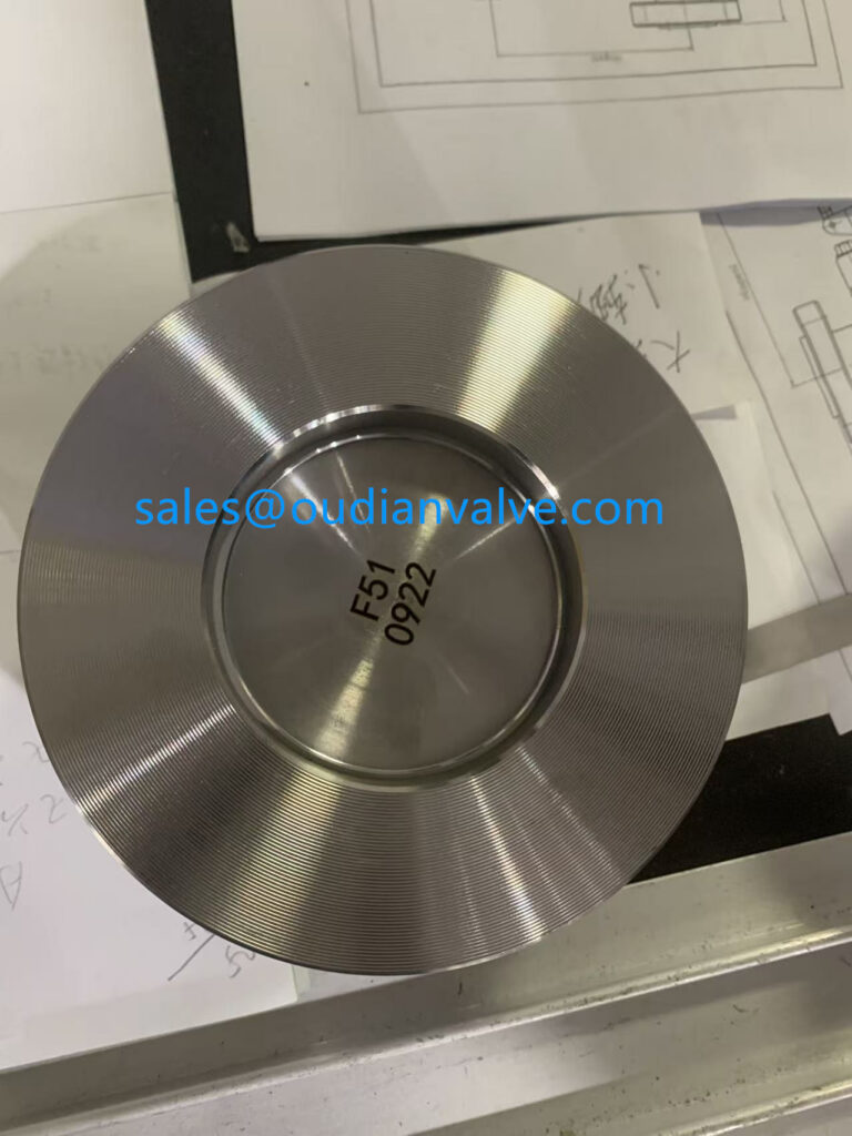 spring loaded check valves