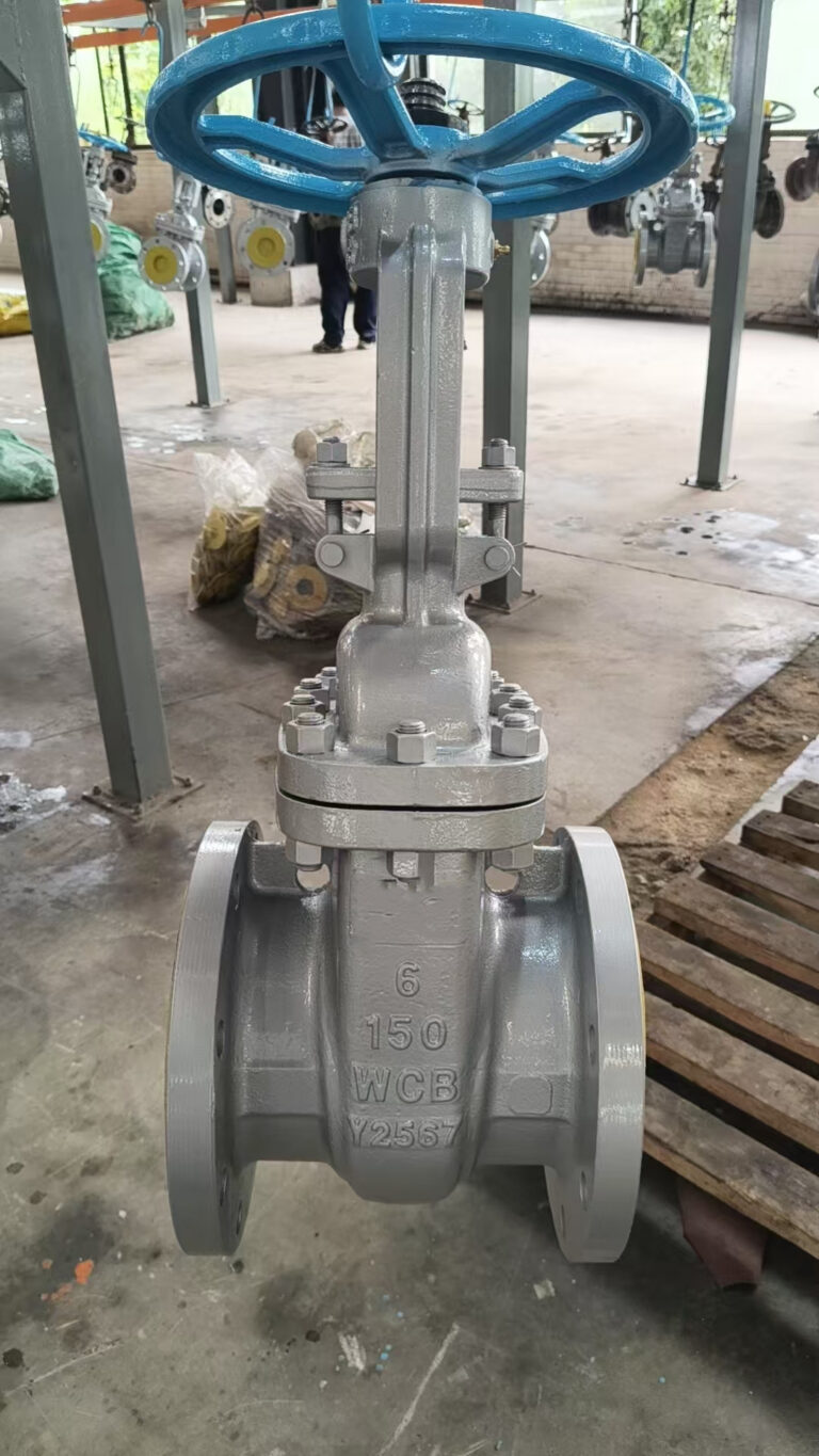 API 600 Gate Valve Paint